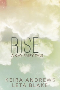 Rise cover 200x300